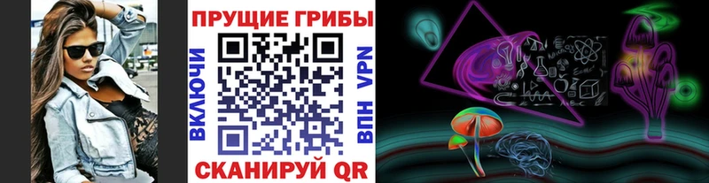 Псилоцибиновые грибы Cubensis  Асбест 